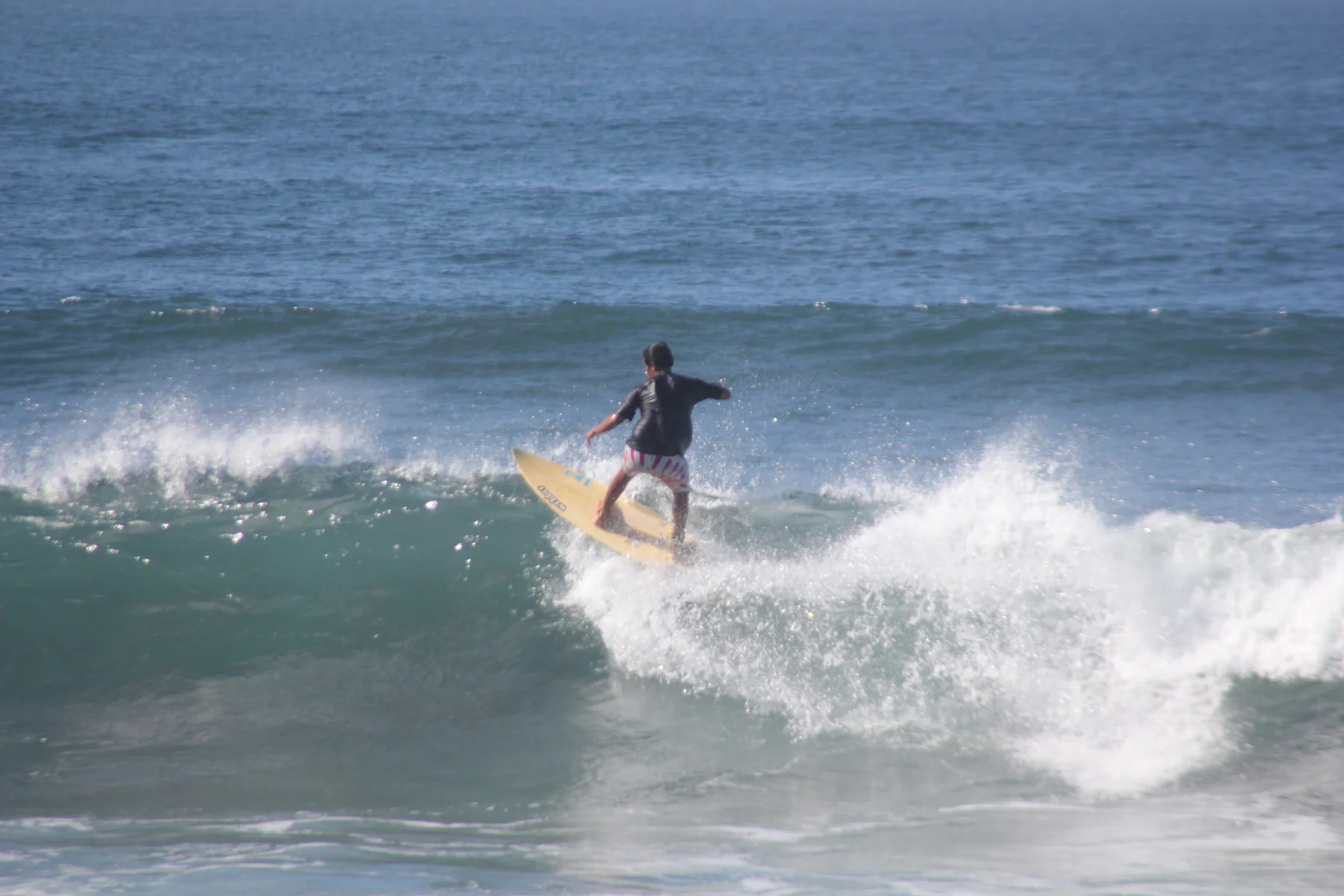 Surfers walking along the palm-lined beach at Playa Guiones in Nosara, Costa Rica