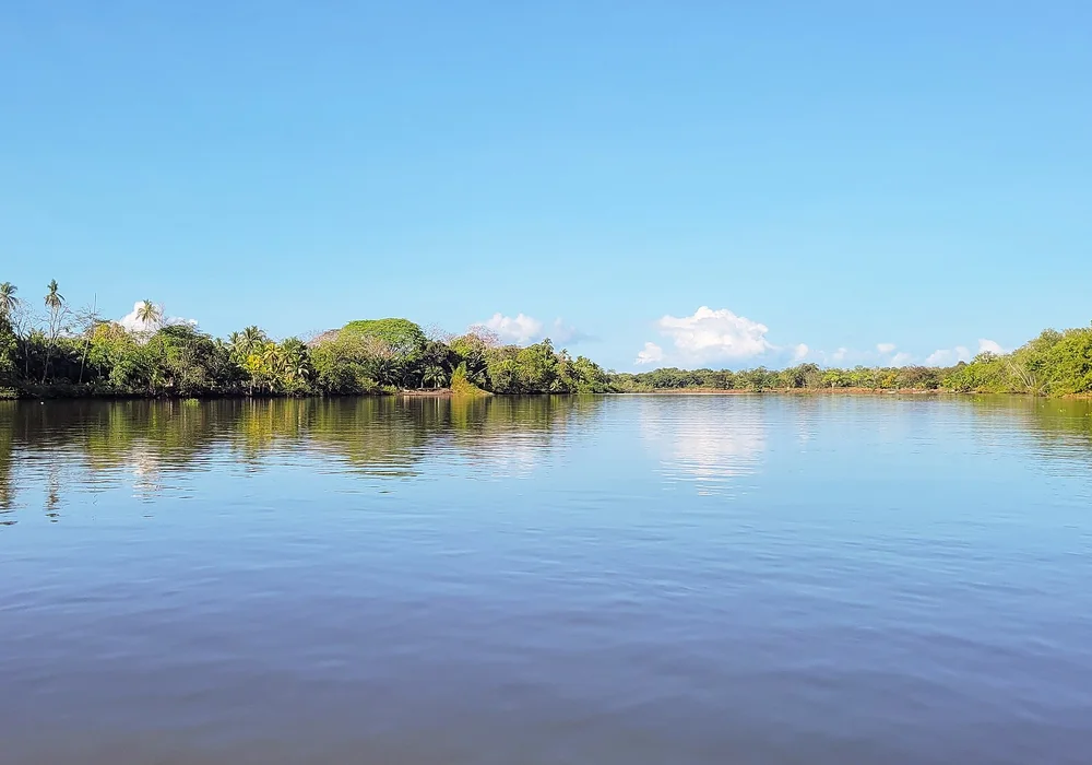 Jungle river estuary and mangrove channels at Boca Nosara, Costa Rica