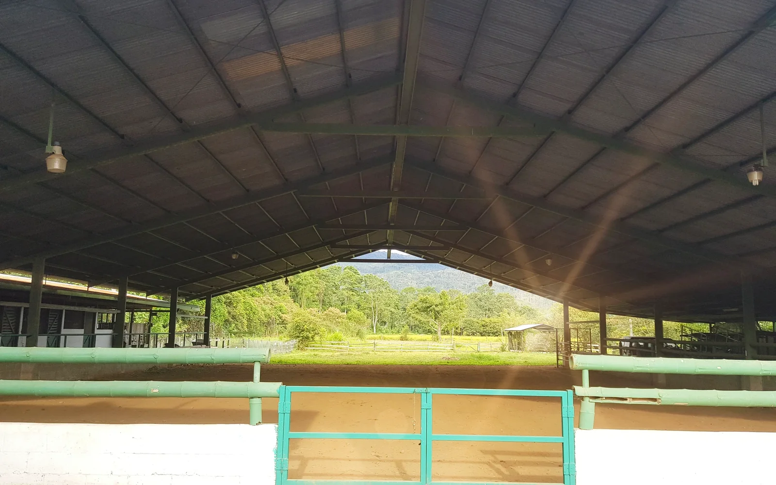 Traditional Costa Rican coffee and farm-to-table culinary experience in the Guanacaste hills