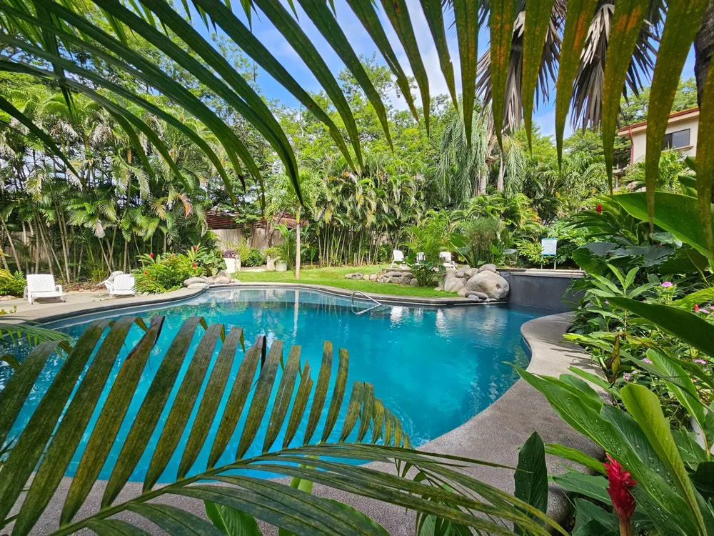Swimming pool and sundeck framed by palm trees at Serena Condos